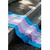 Bandeira Trans